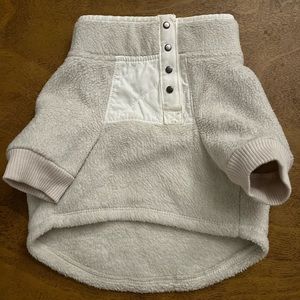 Abercrombie & Fitch Dog Sweater in Small